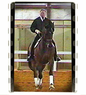 Mediocre Gaits to World-Class Movement Transformation