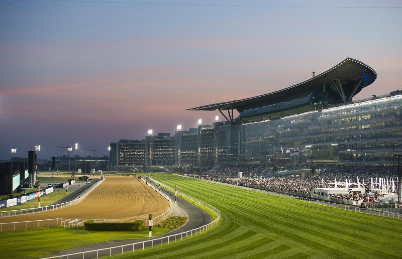 The magnificent Meydan Grandstand lit up at night, an iconic symbol of the world cup dubai horse racing event.