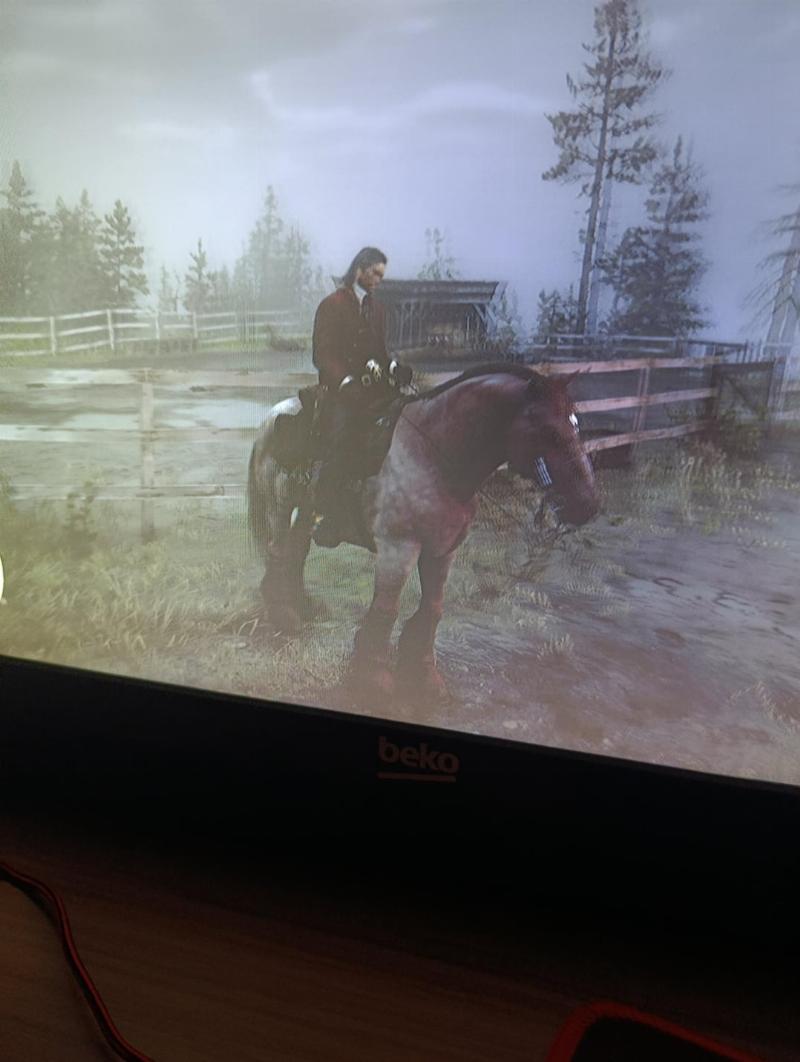 A powerful Missouri Fox Trotter, another candidate for best horse in story mode rdr2, galloping across the golden plains of The Heartlands.