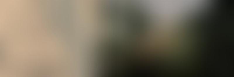 A player viewing a beautiful Silver Dapple Pinto Missouri Fox Trotter in a stable, with the horse's excellent stats visible on the screen for the best horse in RDR2 story.