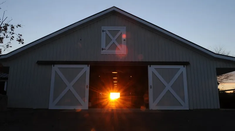 An illustrated breakdown of a monthly horse training invoice, showing line items for training, board, farrier, and vet care to clarify the total cost.