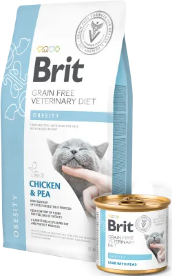 Obesity Cat Food