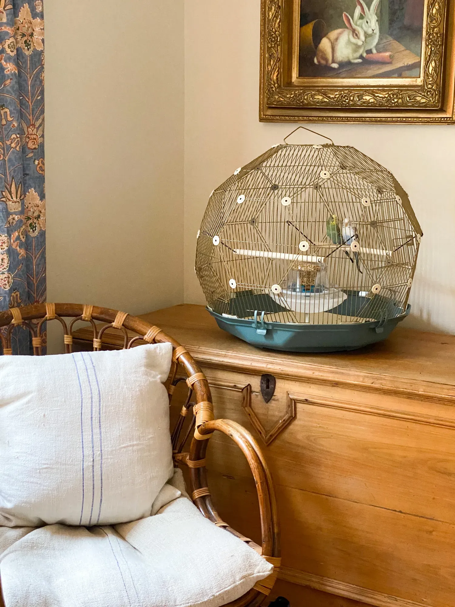 Omlet Geo Bird Cage on a table.