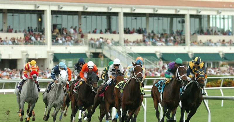 Trainer Joe Orseno watches morning workouts at Gulfstream Park, a testament to his continued passion for horse racing.