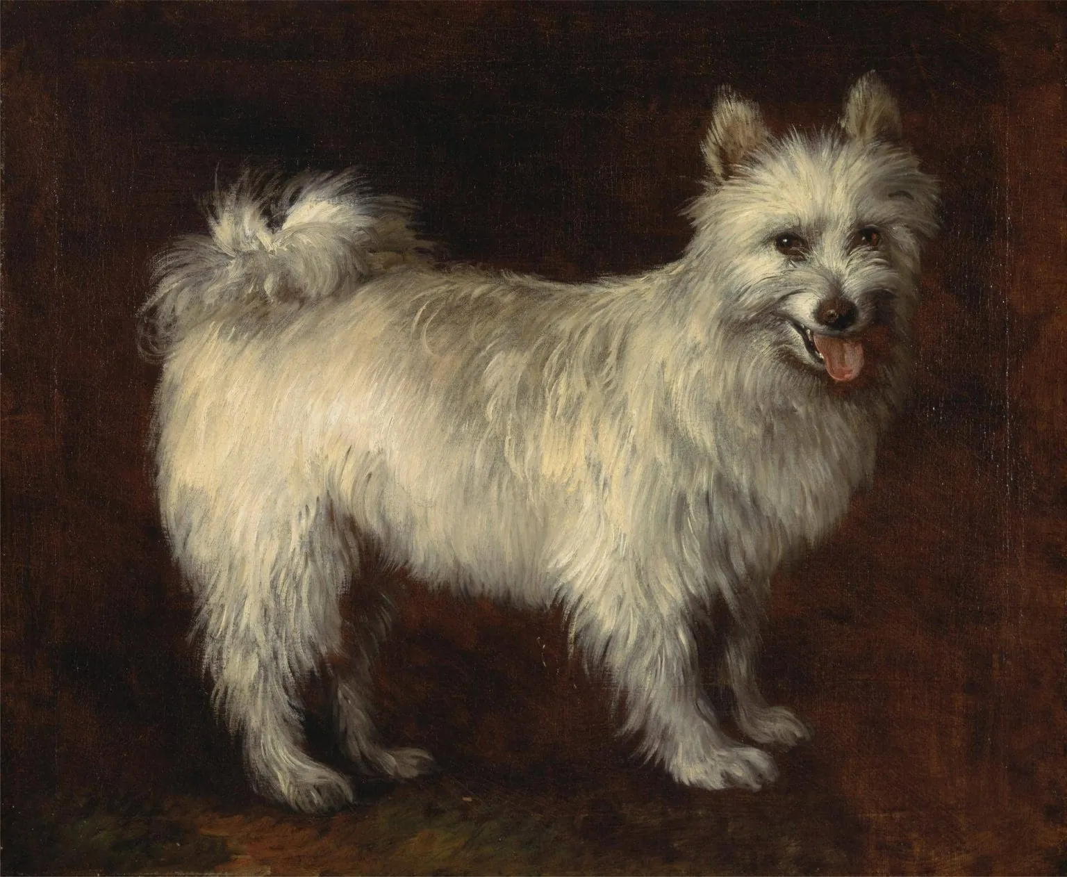 Painting of a white, fluffy dog on a brown background. The dog