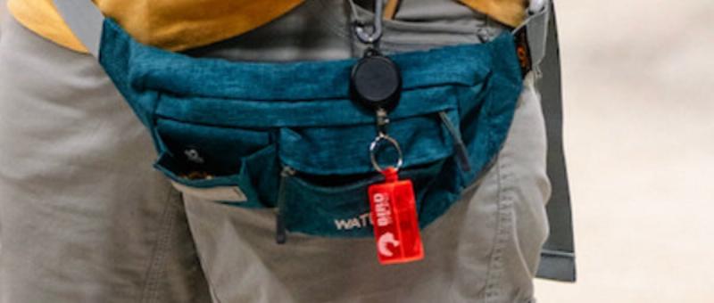 A parrot is being trained by a person using a target stick and a clicker, focusing on positive reinforcement.