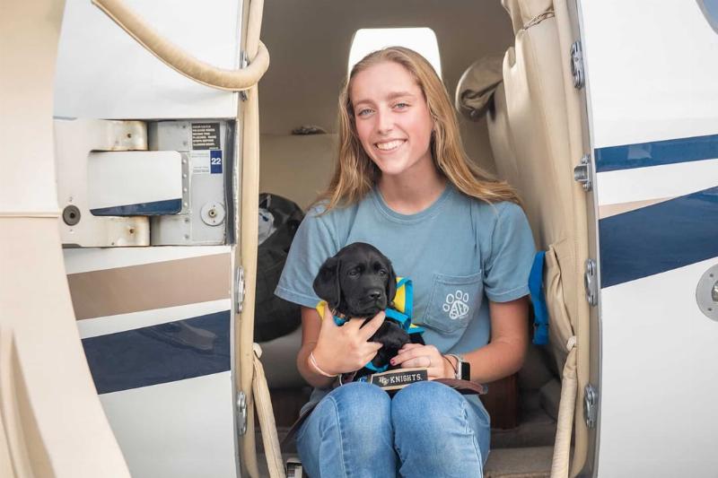 A person using positive reinforcement to train a golden retriever in a park setting, symbolizing the DIY diabetes alert dog training journey.