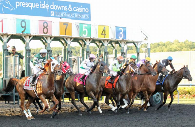 Horses rounding the final turn during a competitive race on the all-weather Tapeta track at Presque Isle Downs.
