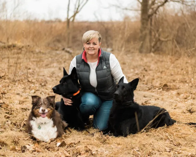 A diverse group of puppies playing together in a clean, safe indoor dog training facility in Massachusetts.