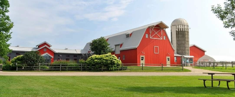 Adorable puppy learning to sit in a park in Maple Grove, MN