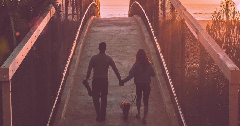 A close-up shot of a copper-colored race horse and a black stallion neck-and-neck at the finish line, capturing the intensity and emotion of the final moment of a race.