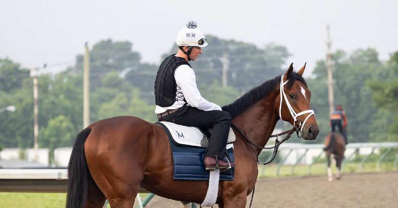 A powerful thoroughbred racehorse trained by Vicki Oliver horse trainer galloping during a morning workout at Keeneland race course.