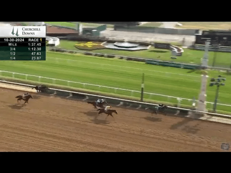 A stunning thoroughbred and jockey with trainer Christopher Davis in the winner's circle after a stakes race