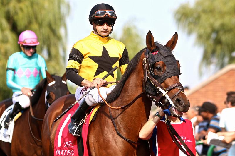 A diverse group of excited people celebrating with a jockey and a thoroughbred racehorse in the winner's circle.