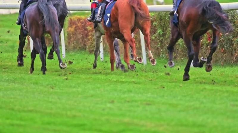 A dynamic shot of several racehorses and jockeys in colorful silks competing neck-and-neck on a turf track, kicking up dirt.