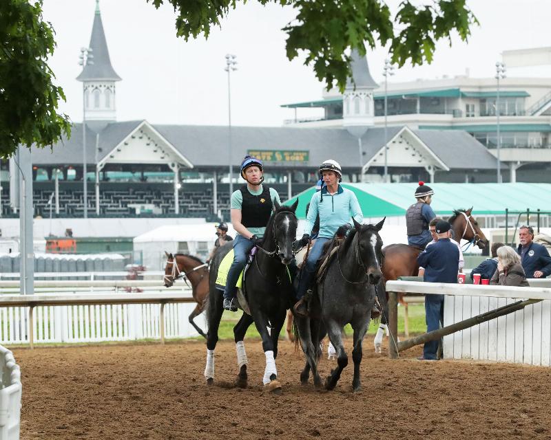 Three thoroughbreds trained by Carla Gaines horse trainer during a morning workout on a dirt track.