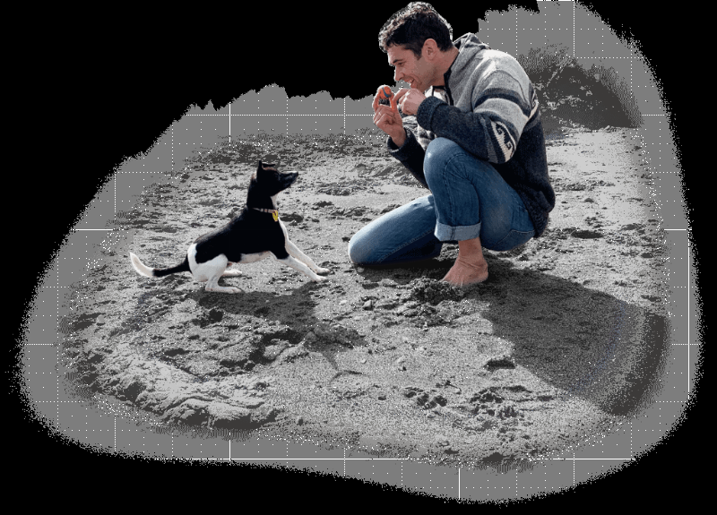 Positive reinforcement dog training class