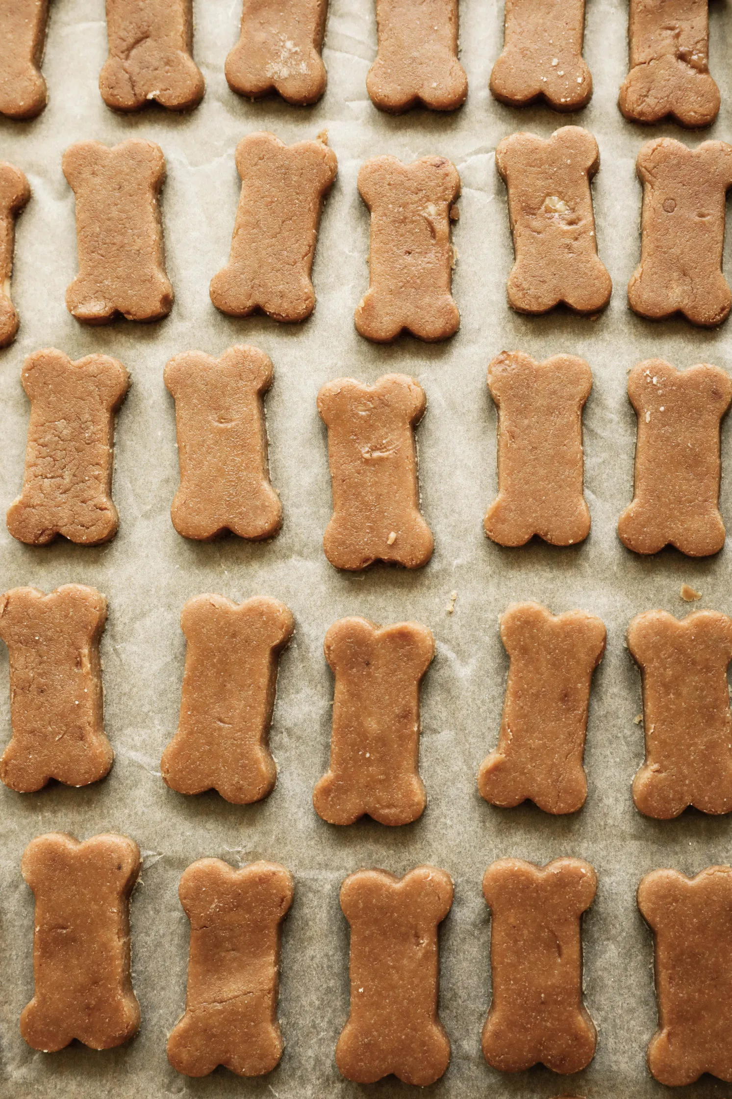 Raw 3-Ingredient Peanut Butter Banana Dog Treats on a baking sheet