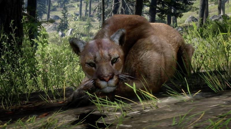 A map of West Elizabeth in Red Dead Redemption 2, with a circle highlighting the Big Valley area where wild black horses spawn.