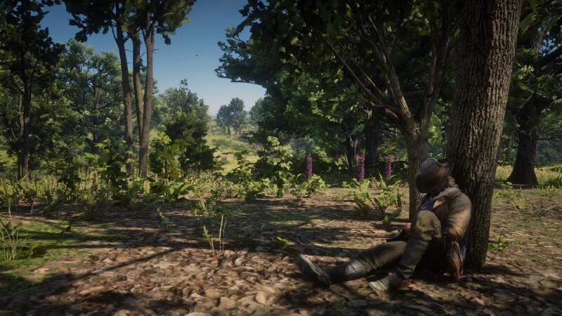 Alt-text for an image showing RDR2 horse stats and bonding levels on a HUD display