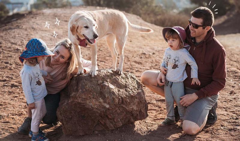 A happy dog playing fetch in a park in Redwood City, CA, with a trainer in the background.