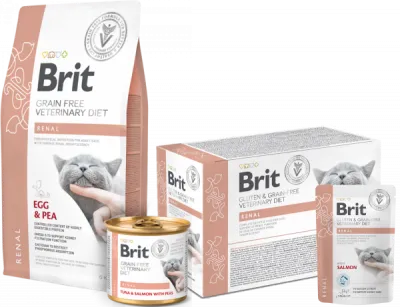 Renal Cat Food