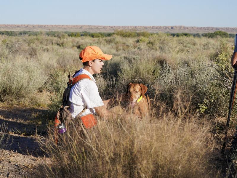 Alt text for a gun dog retrieving a bird from water