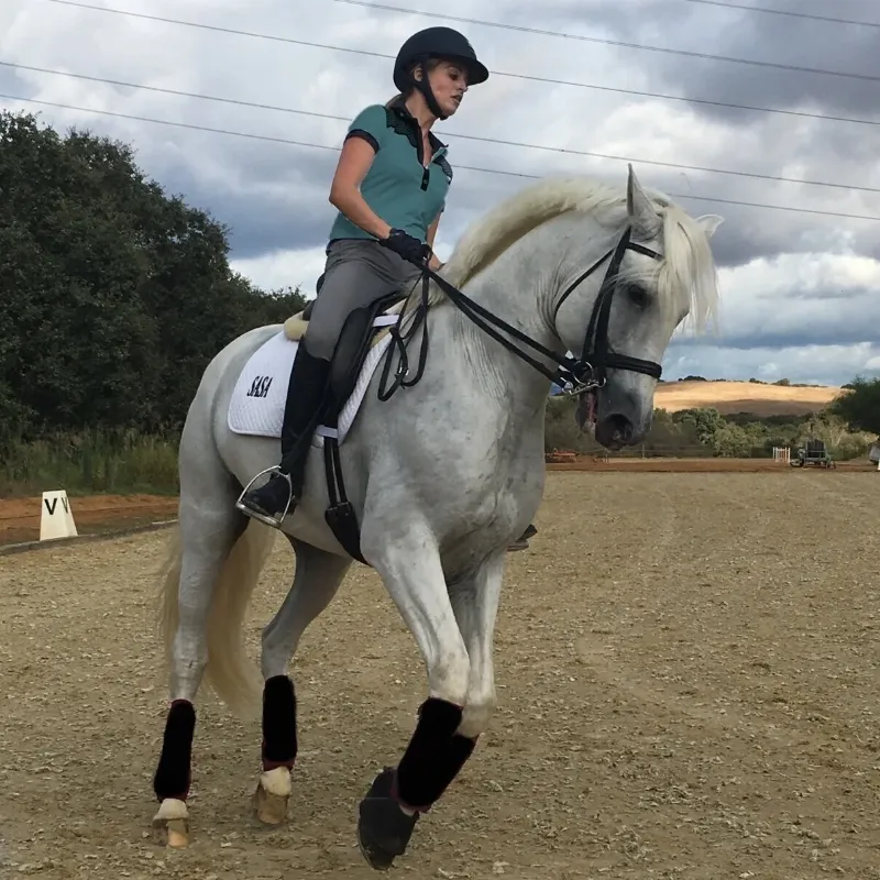 A rider in proper horse trainer shoes and attire, demonstrating balanced equestrian horse training on a beautiful dressage horse.