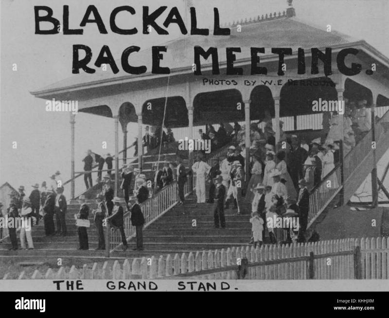 A panoramic view of the Ascot Racecourse grandstand filled with elegantly dressed spectators during a Royal Ascot horse racing event.
