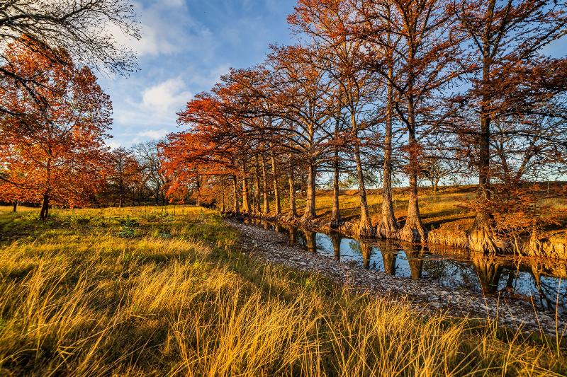 A panoramic view of the immaculate Sable Run Farm horse training facility at sunrise, with lush green pastures and a state-of-the-art arena.