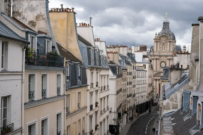 A close-up of a well-worn leather saddle with a rifle scabbard attached, emphasizing the specialized gear for training a horse for hunting.
