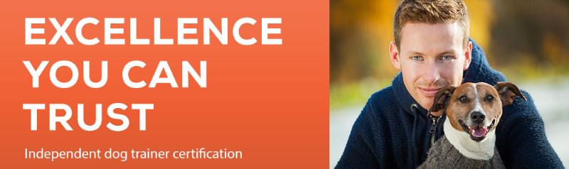 Professional dog trainer consulting with a dog owner