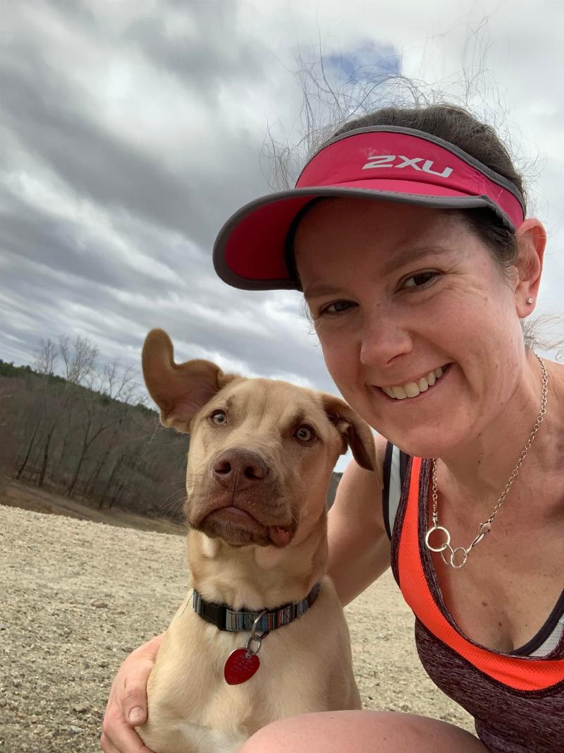 A content senior beagle walking calmly on a loose leash next to its owner, illustrating successful training for older dogs.