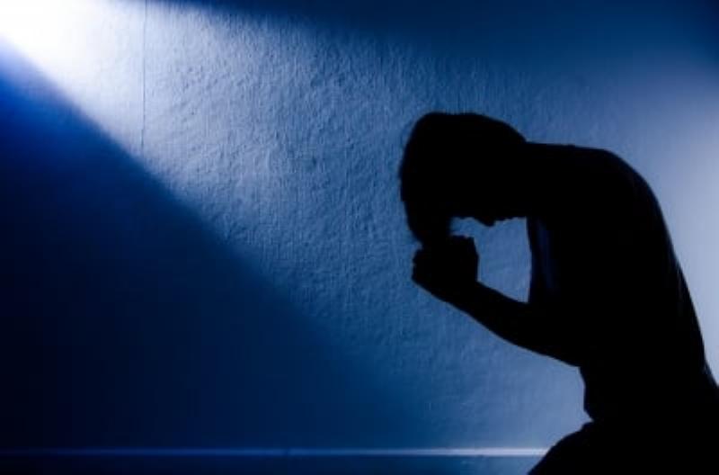 Seth Singer horse trainer communicating gently with a calm and attentive horse in a field