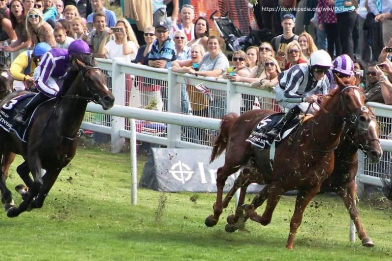 The legendary michael stoute horse trainer Sir Michael Stoute observing one of his horses at his Newmarket stables.