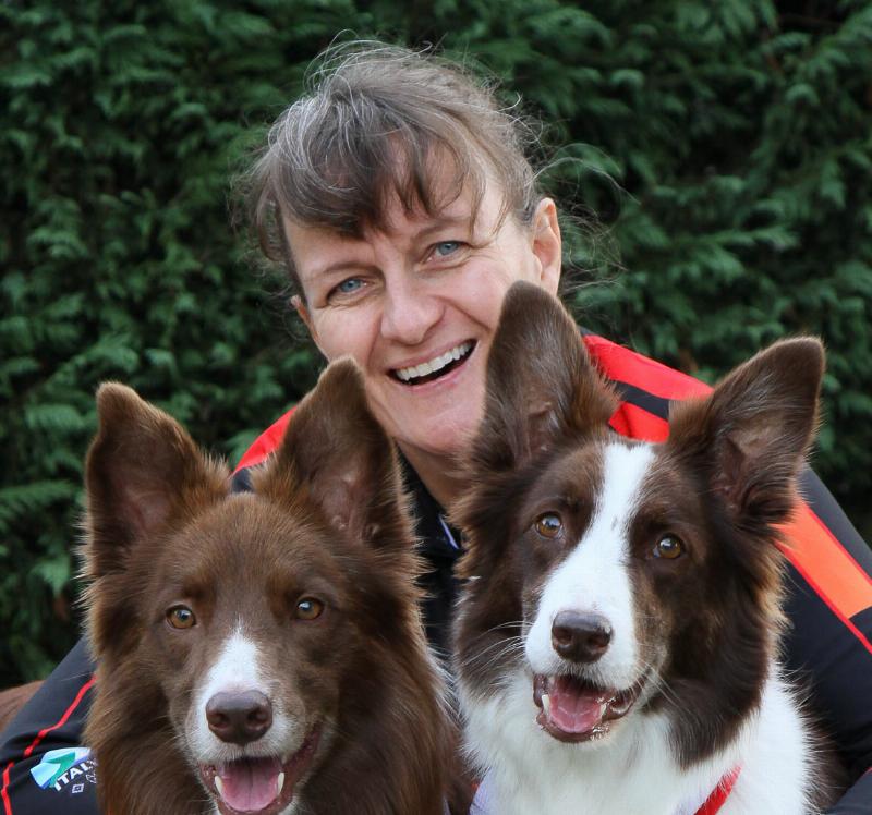 Effective "Sit Means Sit" training for aggressive dogs focusing on positive reinforcement and clear communication to build trust and reshape behavior.