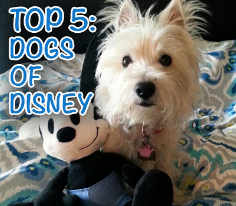 Slinky Dog stretching to help rescue Woody in Toy Story 2, showcasing his loyalty and unique abilities.