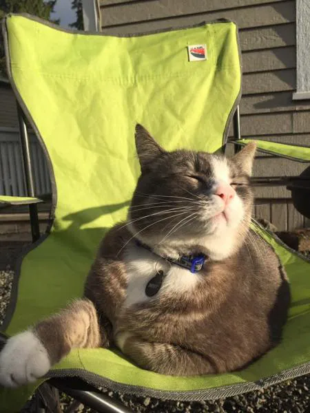 Smokey, by Jenny Litz