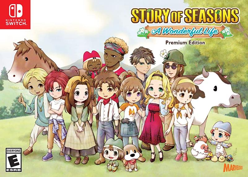 A player character in Story of Seasons: A Wonderful Life standing next to Takakura, who is presenting a brown horse with a gentle expression.