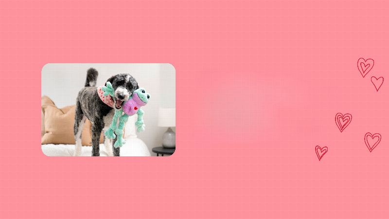 Durable spring dog toy made of robust material for active play