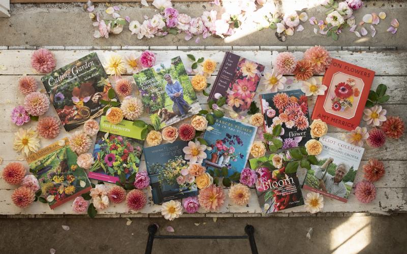 alt-text=A majestic St. Bernard dog depicted as a literary hero, sitting beside a stack of old books in a cozy library setting, symbolizing its presence in stories.