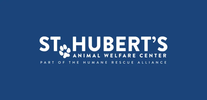 St. Huberts puppy training class with positive reinforcement