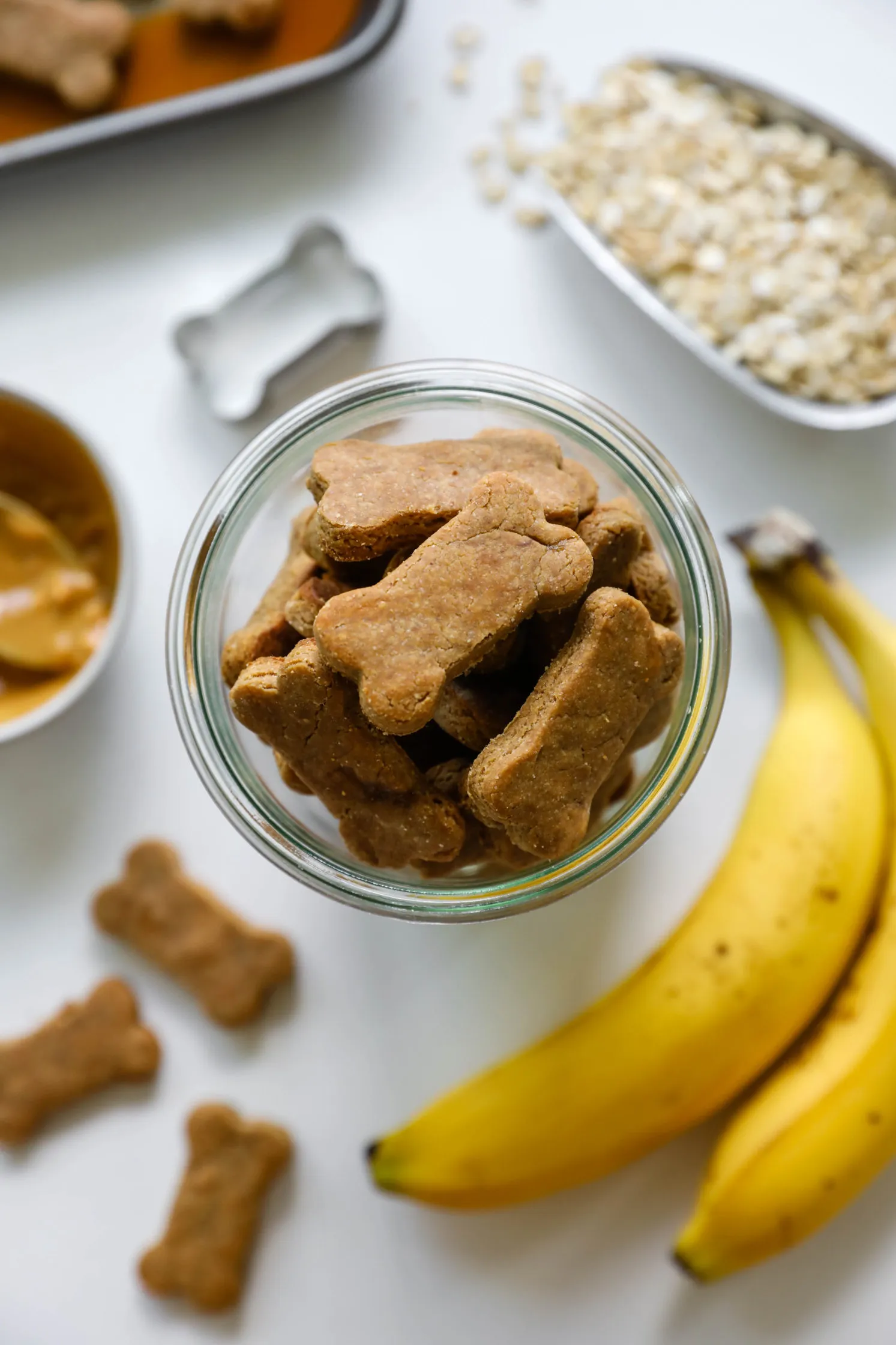 Stored 3-Ingredient Peanut Butter Banana Dog Treats in a jar