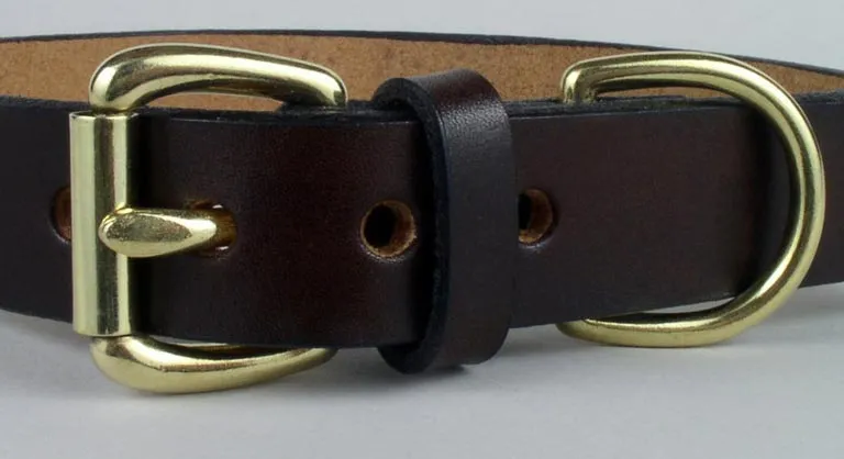 Sturdy Cast Solid Brass Buckle and D Ring on single thickness leather handmade dog collar.