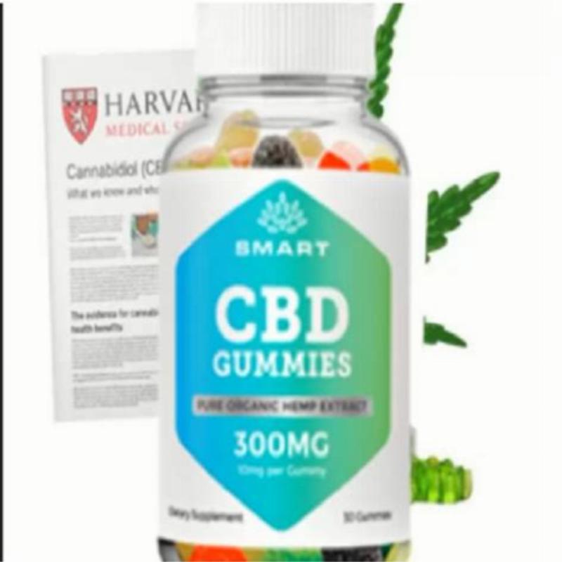 Understanding common dog behaviors like digging and chewing is key to responsible ownership.