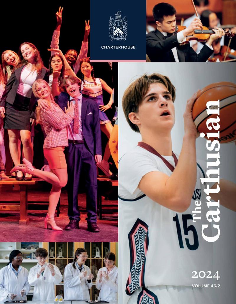 A promising young thoroughbred yearling standing proudly in a lush green Somerset field at sunrise, symbolizing the potential Bill Turner was known for nurturing.