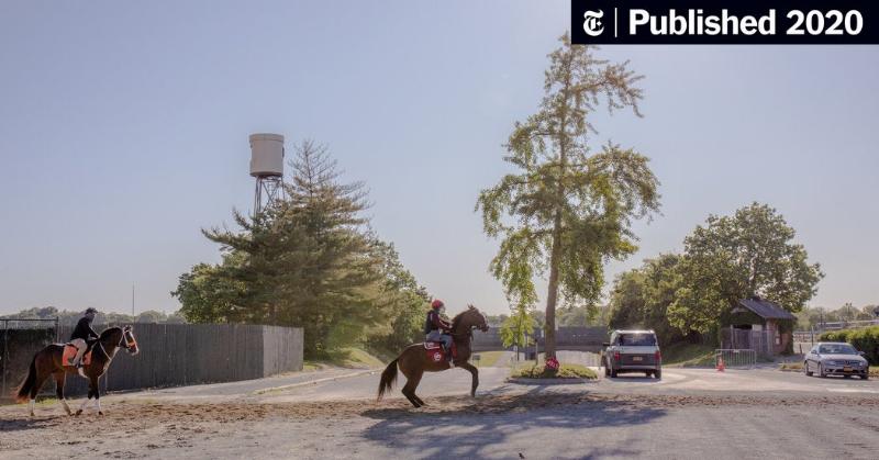 A detailed shot of Tom Morley horse trainer observing a thoroughbred during a morning workout.