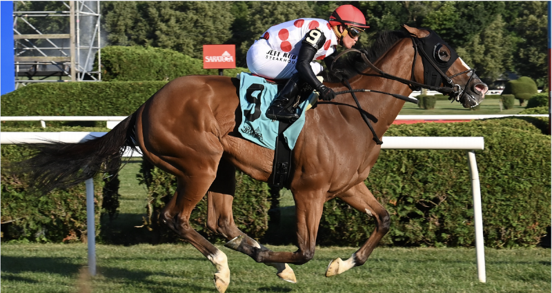 Horses rounding the turn during a thrilling Turfway Park horse racing event on the all-weather Tapeta track.