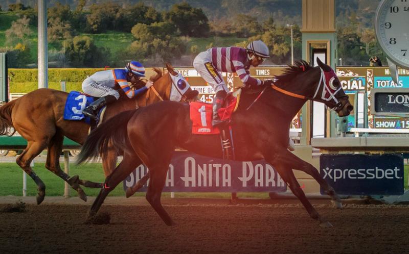 An infographic showing the different types of wagers available on modern horse racing bet sites like win, place, and exacta.