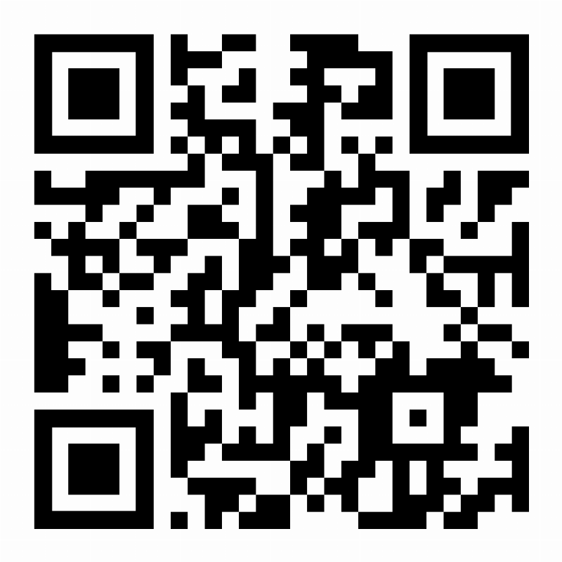 Dogs enjoying agility training at a Wilmington park